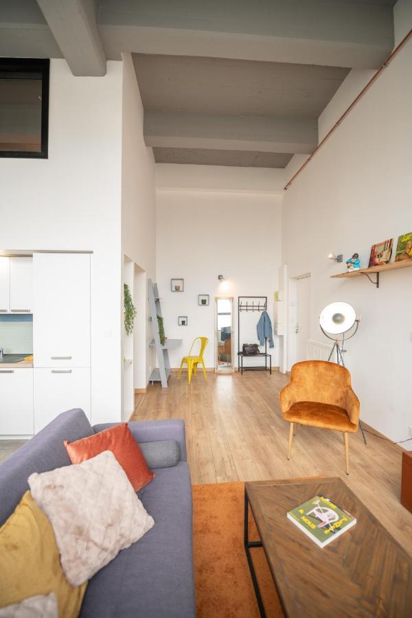 Welcome Loft 圣艾蒂安 外观 照片